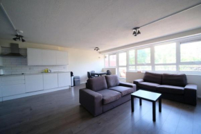 Spacious 3 Bedroom Apartment in Battersea With Terrace